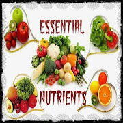 Essential Nutrients for Health