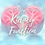 Understanding Kidney Function