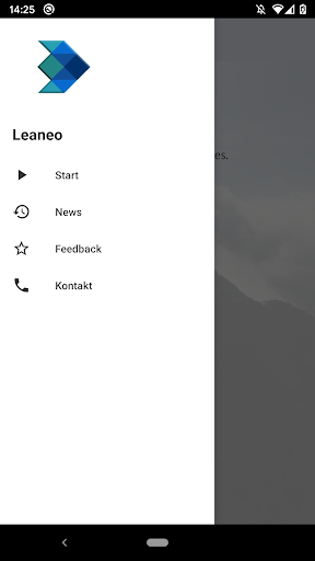Leaneo Screen 3