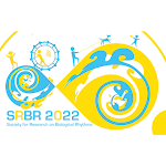 Cover Image of Download SRBR 2022  APK