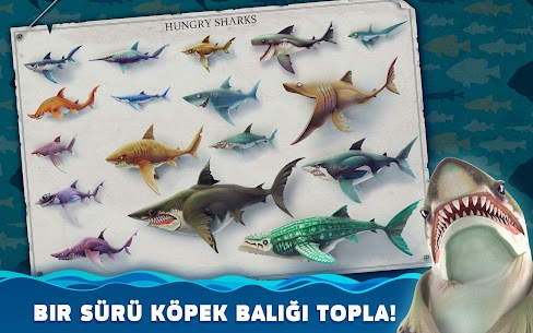 Hungry Shark World apk indir 2021** 8