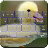 Animal Keyboard Theme icon