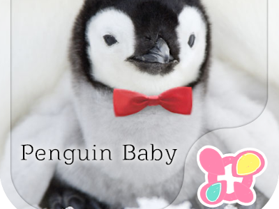 70以上 壁紙 ペンギンズ 赤ちゃん 172725