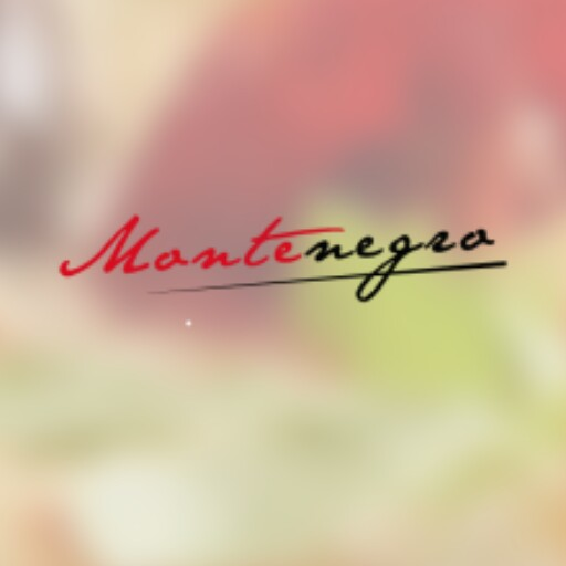 Montenegro logo