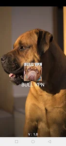 BULL VPN -Safe,secured,private