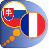 French Slovak dictionary icon