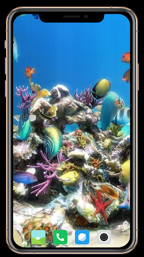 Real Aquarium Wallpaper