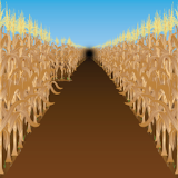 Corn Mazes icon