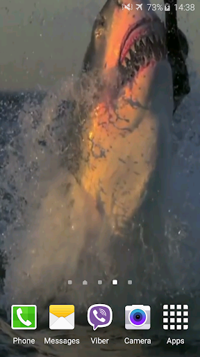 Shark Attack Live Wallpaper Screen 3