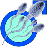 Increase Your Sperm Count icon