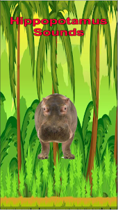 Hippopotamus Sound Game Sim 3d