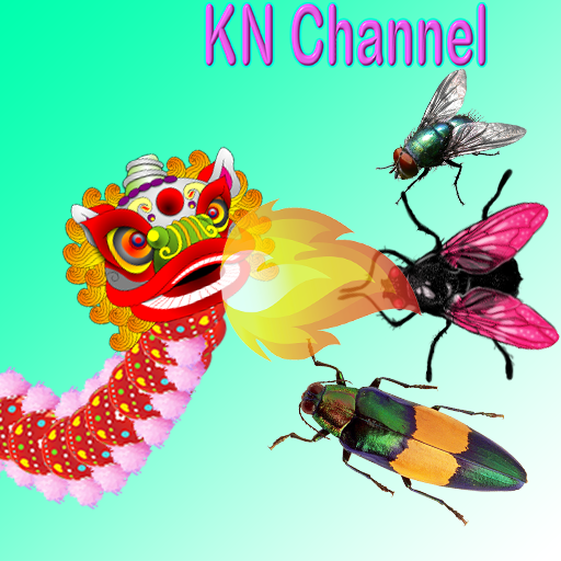 Protect Hive KN Channel logo
