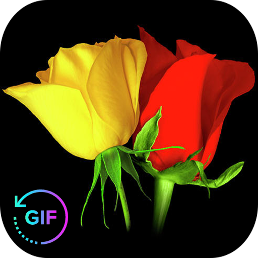 Flowers And Roses Animated Images Gif pictures 4K