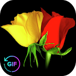 Cover Image of Download Flower Rose Animated Image Gif  APK