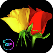 Flowers And Roses Animated Images Gif pictures 4K