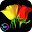 Flowers And Roses Animated Images Gif pictures 4K Download on Windows
