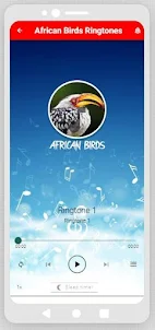 African Birds Ringtones