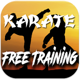 Karate free training icon