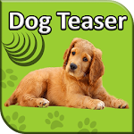 Cover Image of ダウンロード Dog Teaser  APK