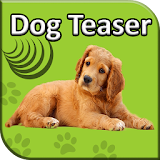 Dog Teaser icon
