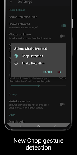 Flashlight (with Shake) Screen 3