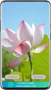Lotus Wallpaper HD App