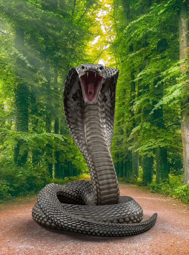 Snake Live Wallpaper Screen 3