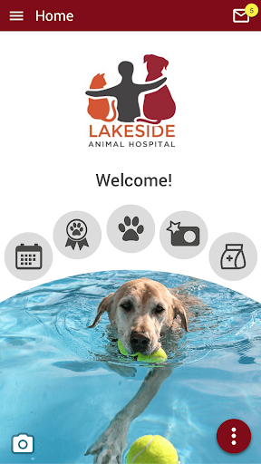 Android application Lakeside Animal Hospital FL screenshort