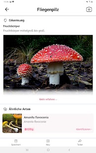 Picture Mushroom - Mushroom ID Screenshot