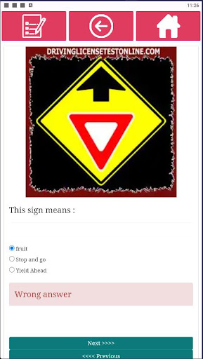 Driving License Test In Usa Screen 3