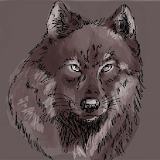 How to draw a wolf step by step icon