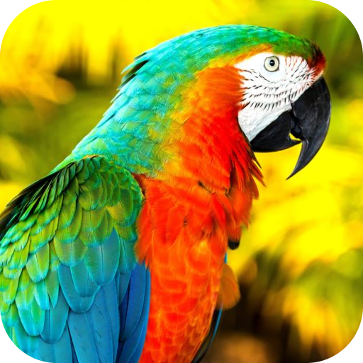 Animal Sounds: Ringtones - Apps on Google Play