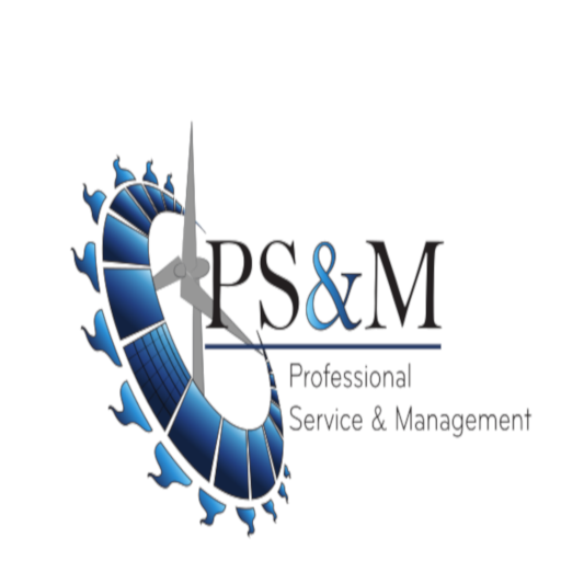 PSM professional service and management