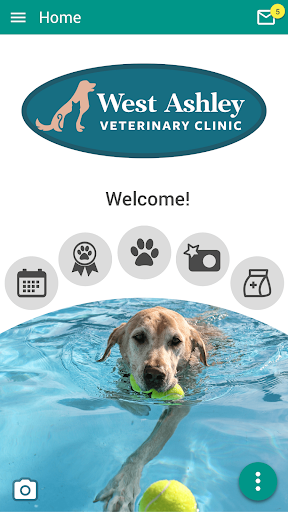 Android application West Ashley Vet screenshort