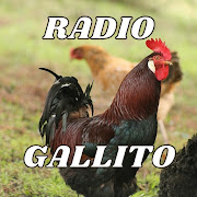 Radio el Gallito jalisco mexico
