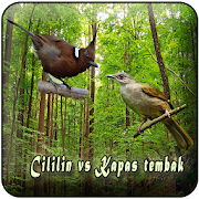 Top 39 Music & Audio Apps Like Cililin Vs Kapas Tembak Offline - Best Alternatives