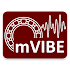mVIBE vibration meter/analyzer20.6.2.30
