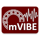 mVIBE vibration meter/analyzer