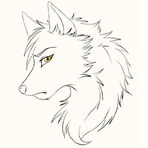 how to draw a anime wolf