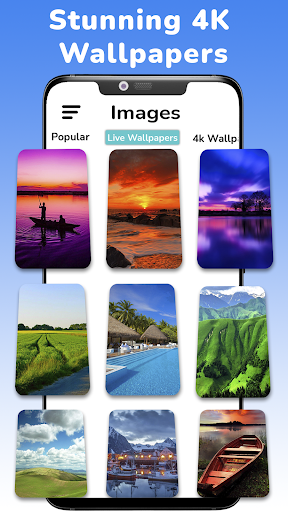 Scenary Wallpaper HD