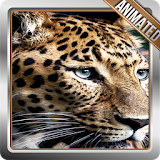 Jaguar Live Wallpaper icon