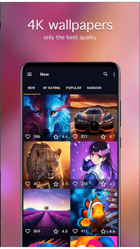 Hình nền 4K Chất