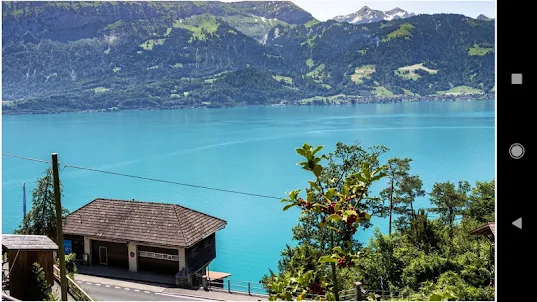 瑞士湖壁紙