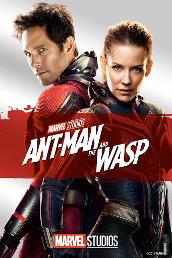 Who Is The Wasp in Ant-Man?