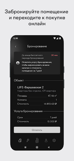 Pioneer Screen 3