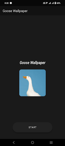 Goose Wallpaper Screen 2