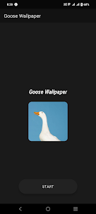 Goose Wallpaper