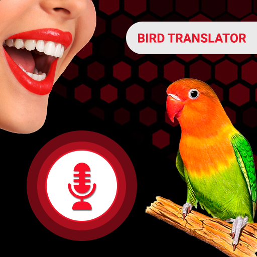 All Birds Voice Translator App Download on Windows