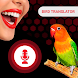 All Birds Voice Translator App - Androidアプリ