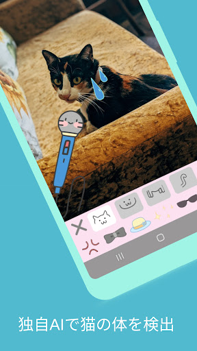 Cat Decoration Screen 2